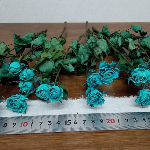 ドライフラワー スプレーバラ 染めブルー その他素材 Rose｡｡ 通販 