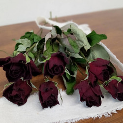 1695a0c230f4d0e631ed2d17e0dea0