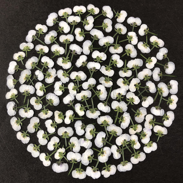  第1張的照片