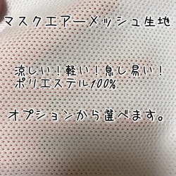 【❤️結婚式に❤️】大人気！500いいね越えオーガンジーサイドレースマスク　結婚式　入学式　振袖　母の日 2枚目の画像