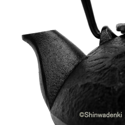 南部鉄器 鉄瓶兼用急須 小鉄瓶 瓢（黒）0.5L 茶漉し付 内面素焼き・酸化被膜仕上 日本製 ガス対応 13枚目の画像