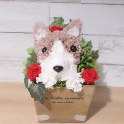 フラワーペット【コーギー】プリザーブドフラワー カーネーション 犬  花 ペット 母の日 誕生日 お供え プレゼント 4枚目の画像