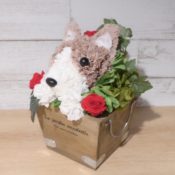 フラワーペット【コーギー】プリザーブドフラワー カーネーション 犬  花 ペット 母の日 誕生日 お供え プレゼント 6枚目の画像