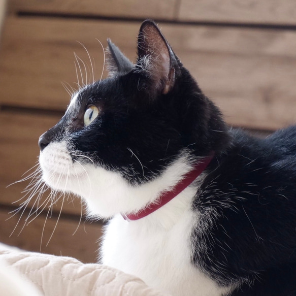ボルドー　3gの猫にやさしい布首輪　セーフティーバックル使用 2枚目の画像