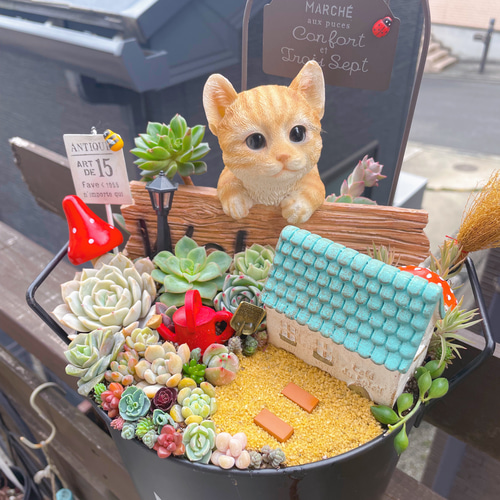プレゼントにも〜受注制作わんちゃんor猫ちゃん箱庭風多肉植物寄せ植え