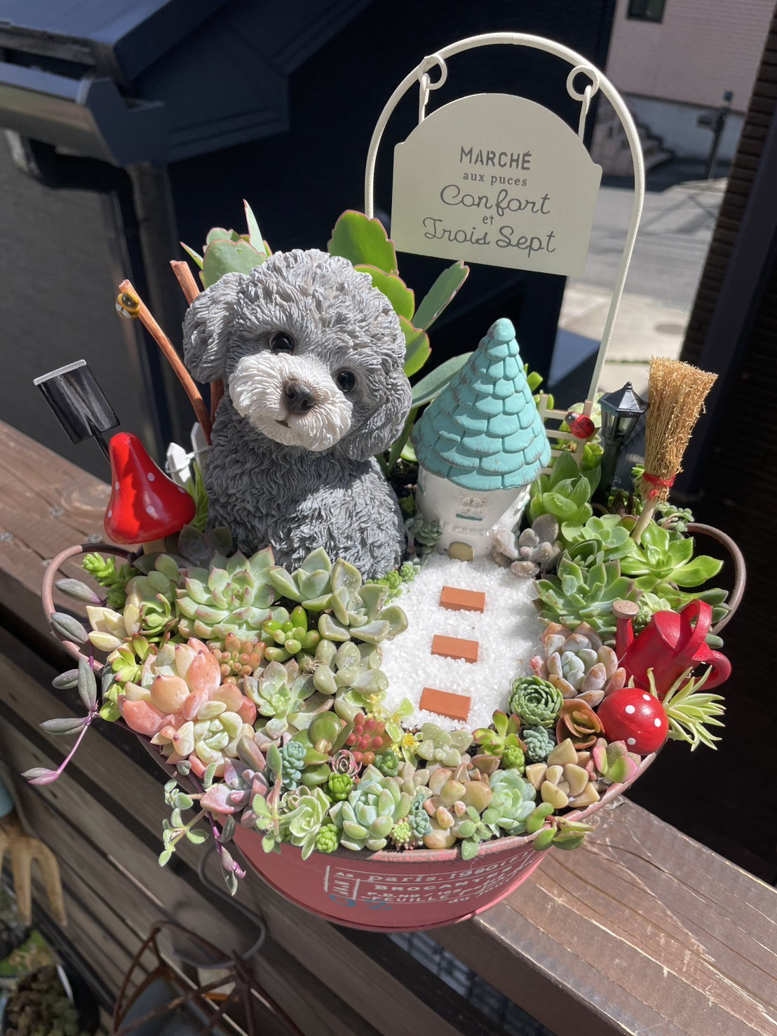 プレゼントにも〜受注制作わんちゃんor猫ちゃん箱庭風多肉植物寄せ植え