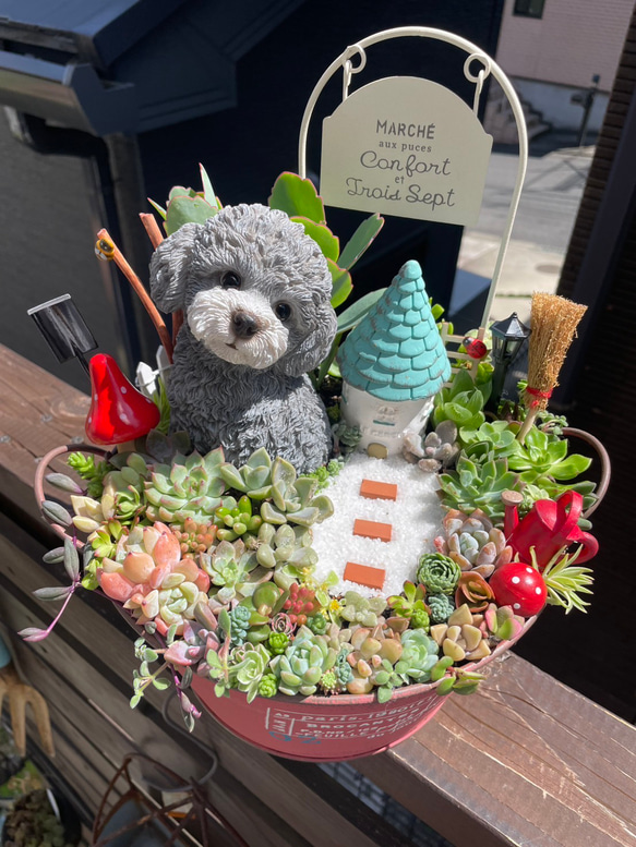 ★多肉植物　寄せ植え〜ねこちゃんの手作り水栓プランター〜★ ☆多肉植物 寄せ植え〜ねこちゃんの手作り水栓プランター〜☆