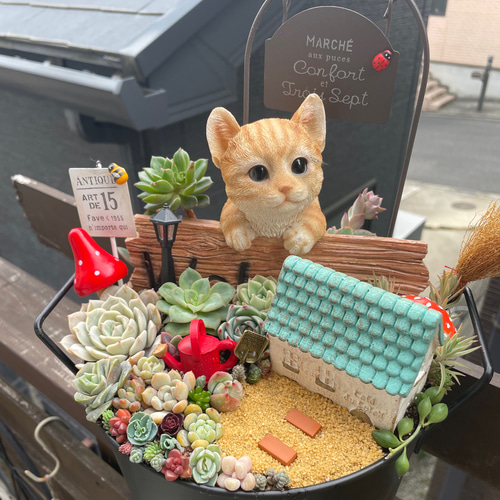 プレゼントにも〜受注制作わんちゃんor猫ちゃん箱庭風多肉植物寄せ植え