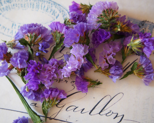 ドライフラワー スターチス 紫 ミックス キャンドル ハーバリウム