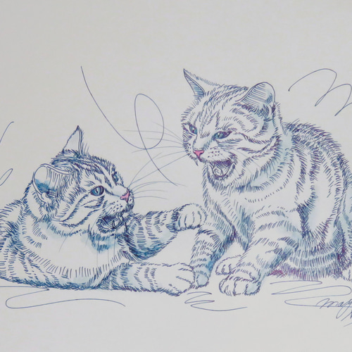 ペン画 デッサン 一点物 猫 CAT FIGHT ブルー スケッチブック182㎜×275