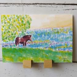 ポストカード 風景画 【選べる3枚】『早朝の馬』 春 絵 イラスト 馬 風水 水彩画 ハガキ インテリア 1枚目の画像