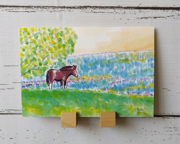 ポストカード 風景画 【選べる3枚】『早朝の馬』 春 絵 イラスト 馬 風水 水彩画 ハガキ インテリア 1枚目の画像