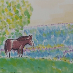 ポストカード 風景画 【選べる3枚】『早朝の馬』 春 絵 イラスト 馬 風水 水彩画 ハガキ インテリア 2枚目の画像