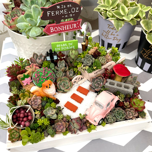 ハンドメイド❣️秋の公園、わんちゃん兄妹のお魚釣り❣️フェイク多肉