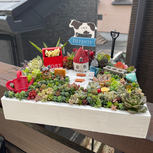プレゼントにも〜受注制作わんちゃん箱庭風多肉植物寄せ植え 多肉植物