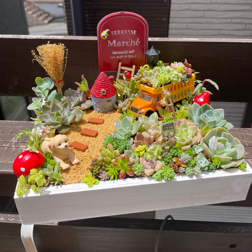 プレゼントにも〜受注制作わんちゃん箱庭風多肉植物寄せ植え 多肉植物