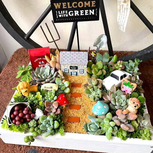 プレゼントにも〜受注制作わんちゃん箱庭風多肉植物寄せ植え 多肉植物