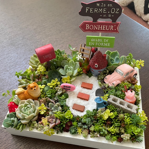 プレゼントにも〜受注制作わんちゃん箱庭風多肉植物寄せ植え 多肉植物