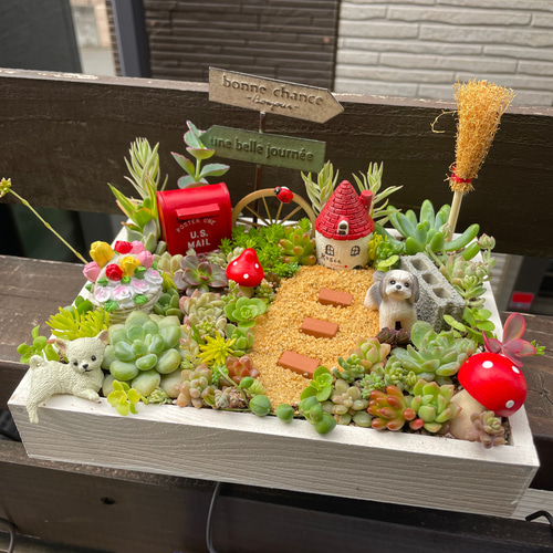 プレゼントにも〜受注制作わんちゃん箱庭風多肉植物寄せ植え 多肉植物