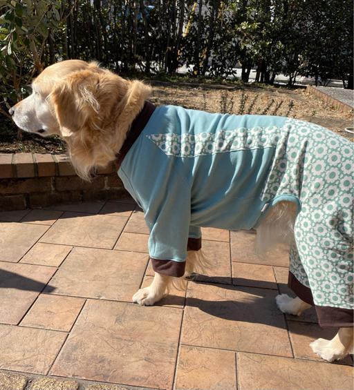 白いお花のロンパース