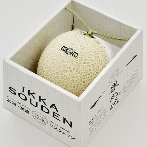 IKKASOUDEN マスクメロン「1玉入り」 果物（フルーツ） 篤農