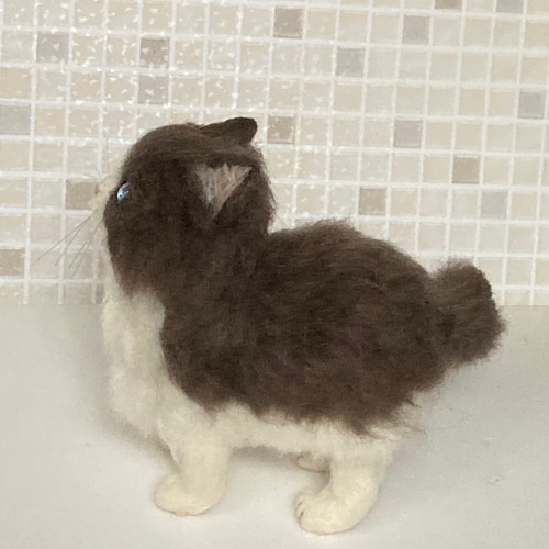 受注商品♪mia♪ Mサイズ ラグドール 猫 羊毛フェルト