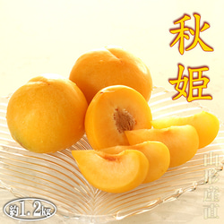 すもも プラム 秋姫 中玉 (L〜2L)×11～14玉 約1.2kg 黄色 スモモ 李 山形産 産直 1枚目の画像