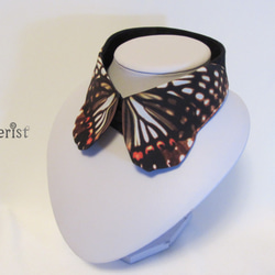 蝶々付け衿:アカボシゴマダラ 1枚目の画像