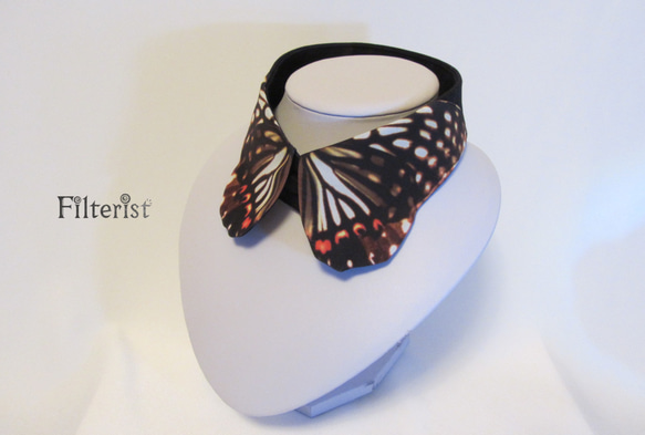 蝶々付け衿:アカボシゴマダラ 1枚目の画像