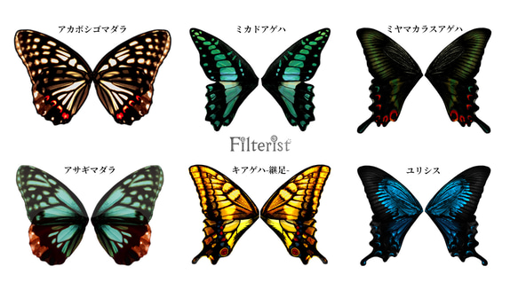 蝶々付け衿:アカボシゴマダラ 2枚目の画像