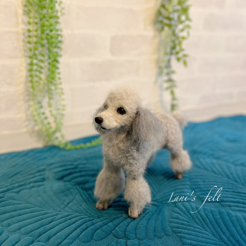 愛犬ちゃんオーダー 犬♡羊毛フェルト♡トイプードル♡世界でたった