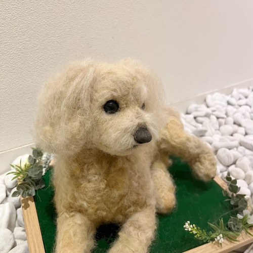 受注製作 》オーダー 犬♡うちの子製作♡羊毛フェルト♡トイ 受注製作 》オーダー 犬♡うちの子製作♡羊毛フェルト♡トイ