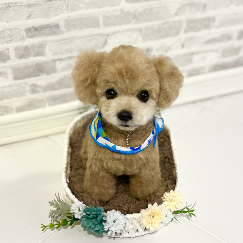 まーふいページ❣️トイプードルオーダー犬羊毛フェルト 愛犬ちゃんオーダー 犬♡羊毛フェルト♡トイプードル♡世界でたった