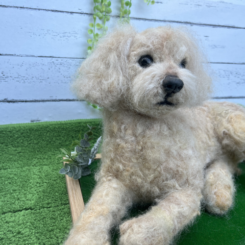 受注製作 》オーダー 犬♡うちの子製作♡羊毛フェルト♡トイ 受注製作 》オーダー 犬♡うちの子製作♡羊毛フェルト♡トイ