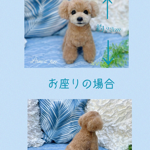 愛犬ちゃんオーダー 犬♡羊毛フェルト♡トイプードル♡世界でたった