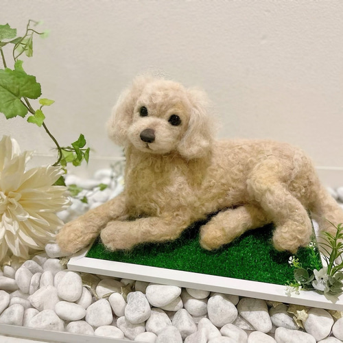 受注製作 》オーダー 犬♡うちの子製作♡羊毛フェルト♡トイ 受注製作 》オーダー 犬♡うちの子製作♡羊毛フェルト♡トイ