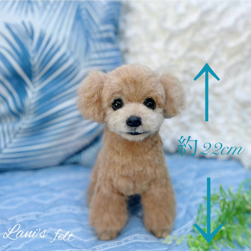 愛犬ちゃんオーダー 犬♡羊毛フェルト♡トイプードル♡世界でたった