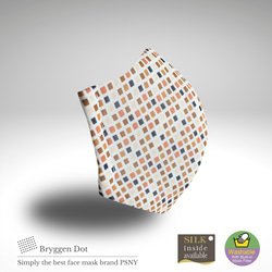 PSNY Bryggen Dot Pollen Yellow Sand 無紡布過濾 3D 成人口罩免運費 -LT06 第5張的照片