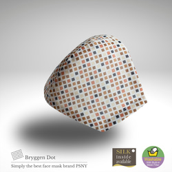 PSNY Bryggen Dot Pollen Yellow Sand 無紡布過濾 3D 成人口罩免運費 -LT06 第4張的照片