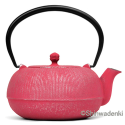 南部 名人 天裕堂 造 虫喰柚肌 葡萄図 平丸型 鉄瓶 茶道具 南部 名人 天裕堂 造 虫喰柚肌 葡萄図 平丸型 鉄瓶 茶道具