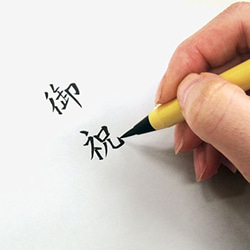 希少樹木を贅沢に使った 美しい筆ペン 黒檀 / こくたん TFP1810 送料無料 10枚目の画像