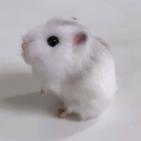 わたしのハムスター パールちゃん