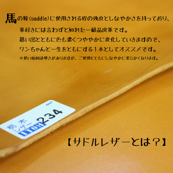 【送料無料】本革首輪&リードセット〈小型犬〉レザー 名入れ 刻印 迷子 長さ選択 カフェリード 青 黄 赤 キャメル 20枚目の画像