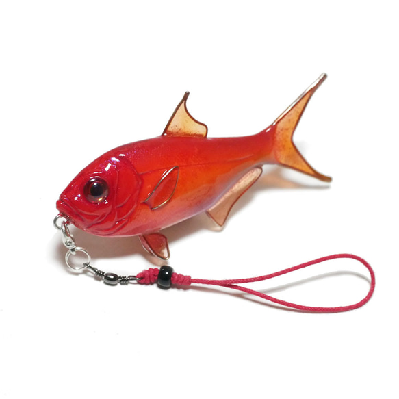 一点モノ ストラト 魚の名前 一点モノ ストラト 魚の名前