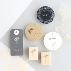 258c911daf7158bd6ef39c6ba4b1b7