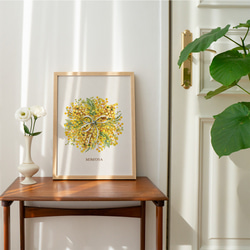 ミモザのポスター　/ i1131 / 黄色くかわいい春のミモザ　ボタニカル　アートポスター 3枚目の画像