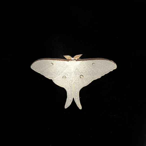 オナガミズアオ　昆虫ワッペン　蝶　蛾　 6枚目の画像