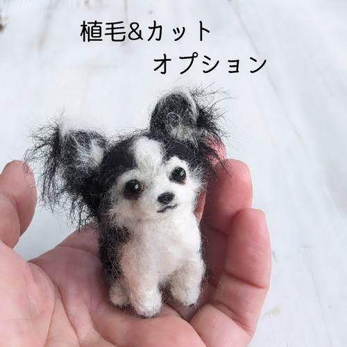 ◾羊毛フェルト「小さなわんこ」うちの子オーダー制作いたします！お