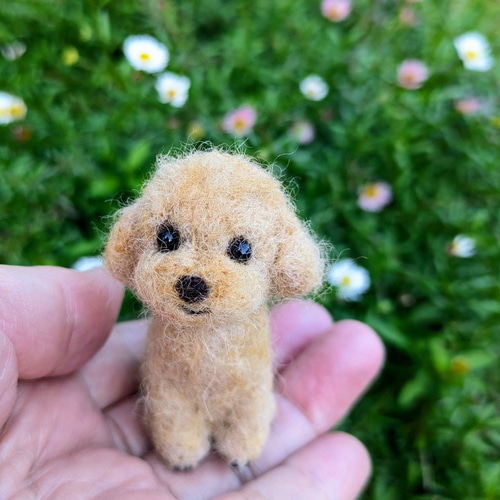 ◾羊毛フェルト「小さなわんこ」うちの子オーダー制作いたします