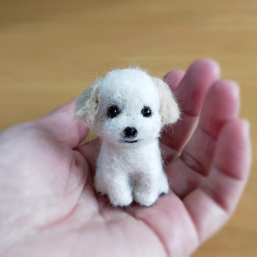◾羊毛フェルト「小さなわんこ」うちの子オーダー制作いたします ◾羊毛フェルト「小さなわんこ」うちの子オーダー制作いたします